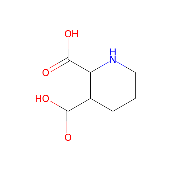 2,3-顺式哌啶二羧酸（cis PDA）