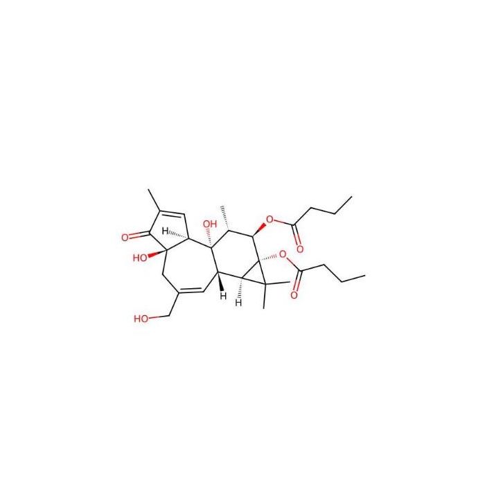 佛波醇 12,13-二丁酸酯