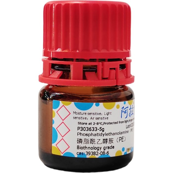 磷脂酰乙醇胺（PE）