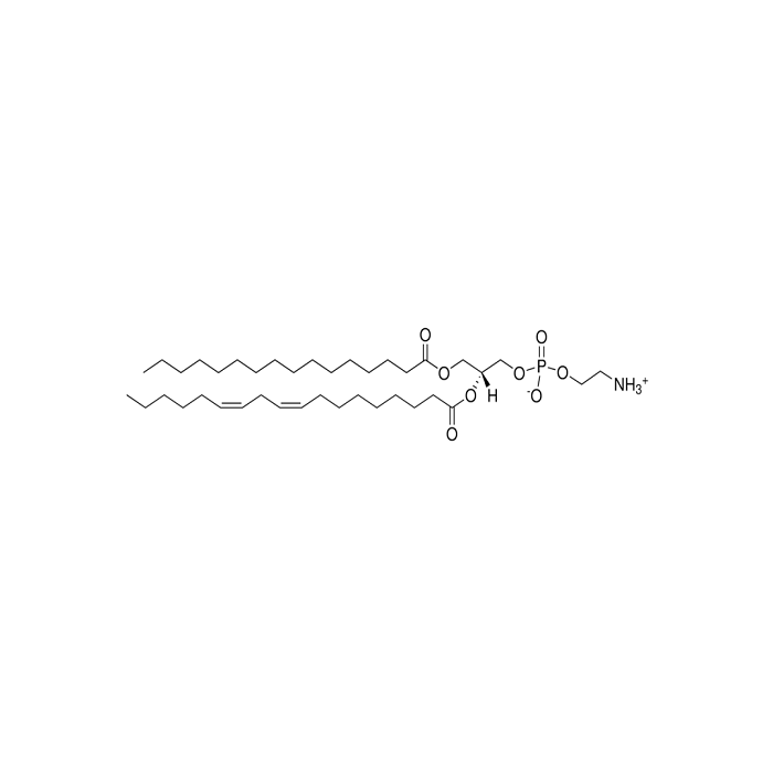 1-Palmitoyl-2-linoleoyl PE