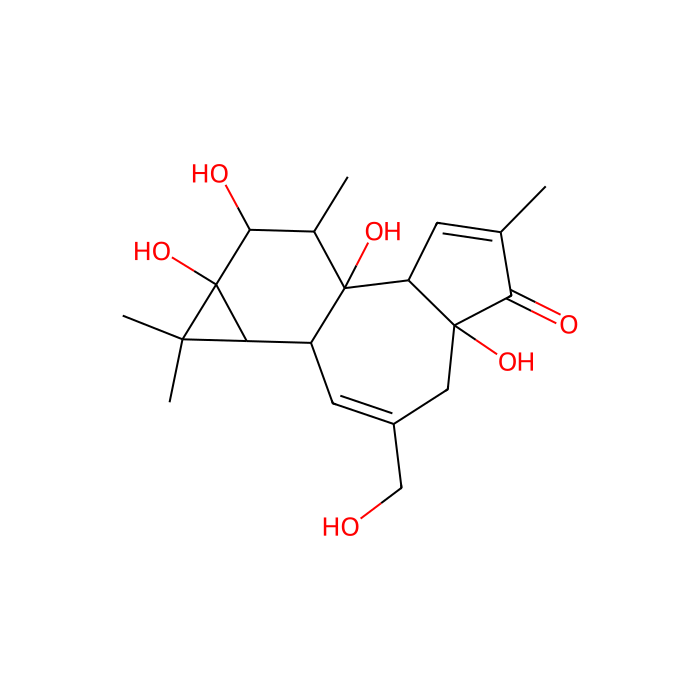 Phorbol