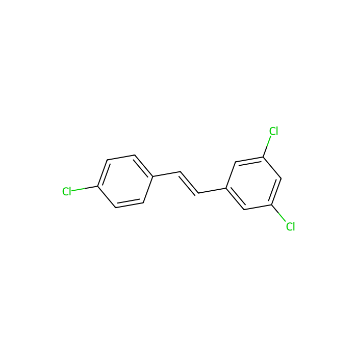PDM 2