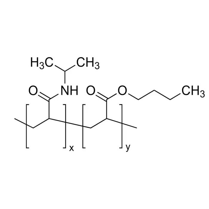 聚（N-异丙基丙烯酰胺-co-丙烯酸丁酯）
