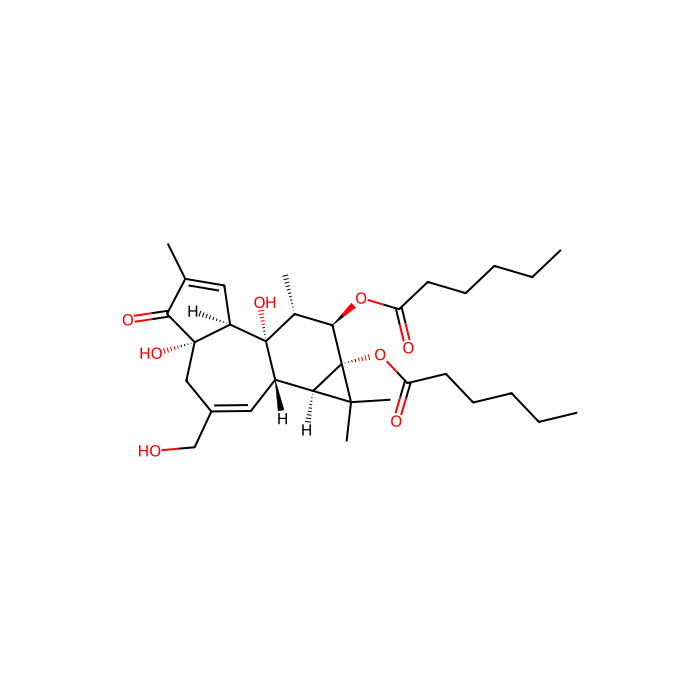 4α-PDH, TRPV4 激活剂