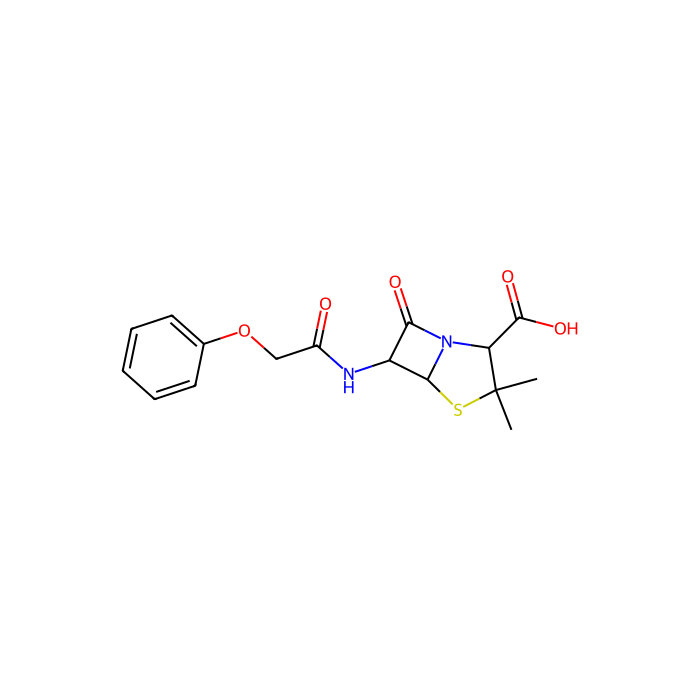 phenoxymethylpenicillin, 细菌青霉素结合蛋白抑制剂