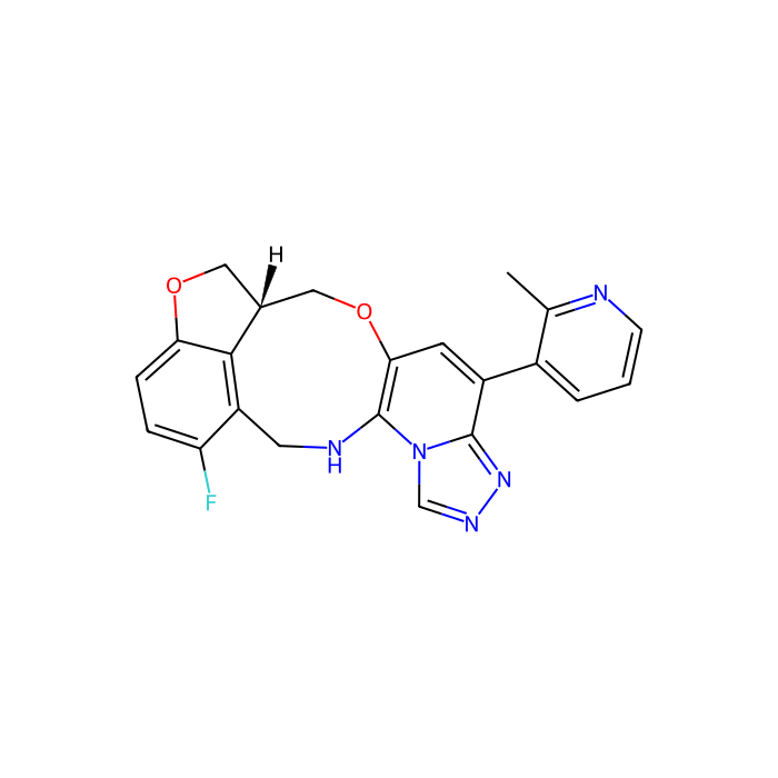pociredir, 胚胎外胚层发育的异构调节器