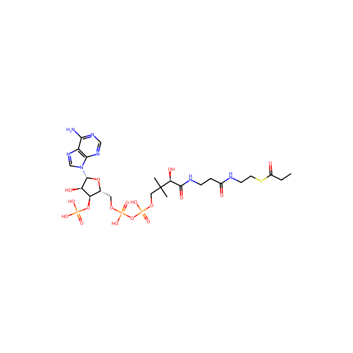propionyl-CoA
