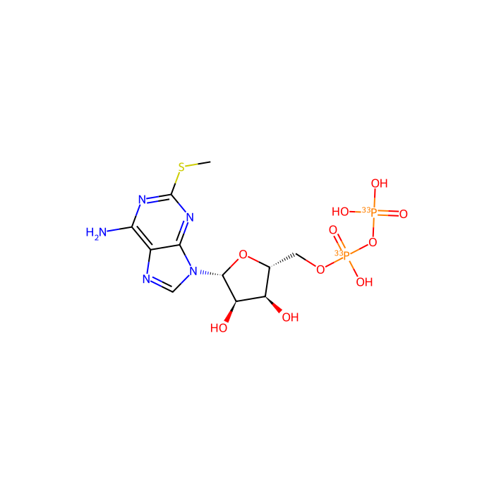 [³³P]2MeSADP, P2Y 13 受体激动剂