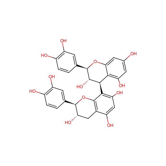 Procyanidin B3