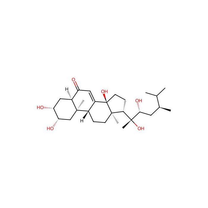 Polyporusterone A