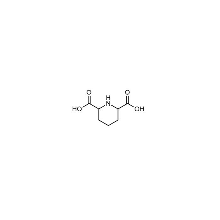 哌啶-2,6-二羧酸