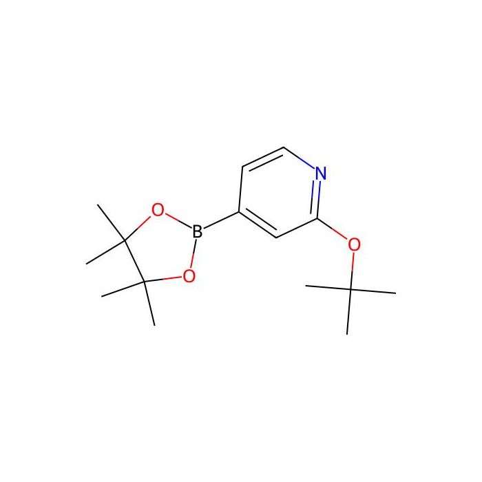 2-(叔丁氧基)-4-(4,4,5,5-四甲基-1,3,2-二氧硼杂环戊烷-2-基)吡啶