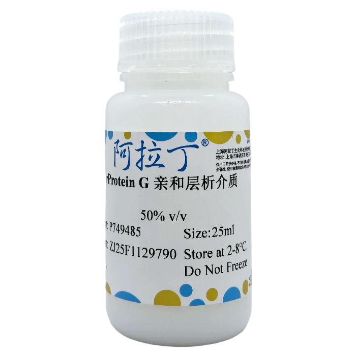 rProtein G 亲和层析介质