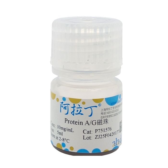 Protein A/G磁珠
