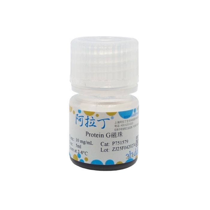 Protein G磁珠