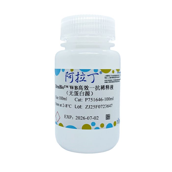 UltraBio™ WB高效一抗稀释液（无蛋白源）