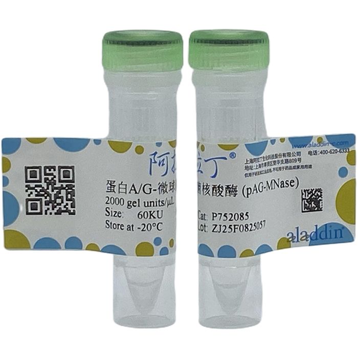 蛋白A/G-微球菌核酸酶 (pAG-MNase)