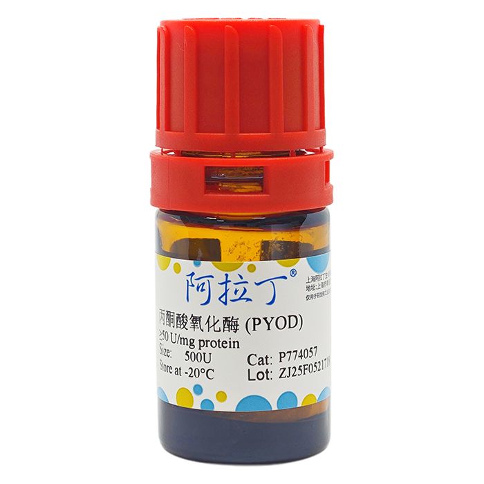 丙酮酸氧化酶 (PYOD)