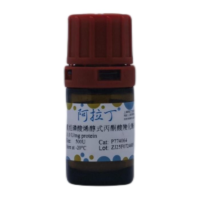 重组磷酸烯醇式丙酮酸羧化酶 (PEPC)
