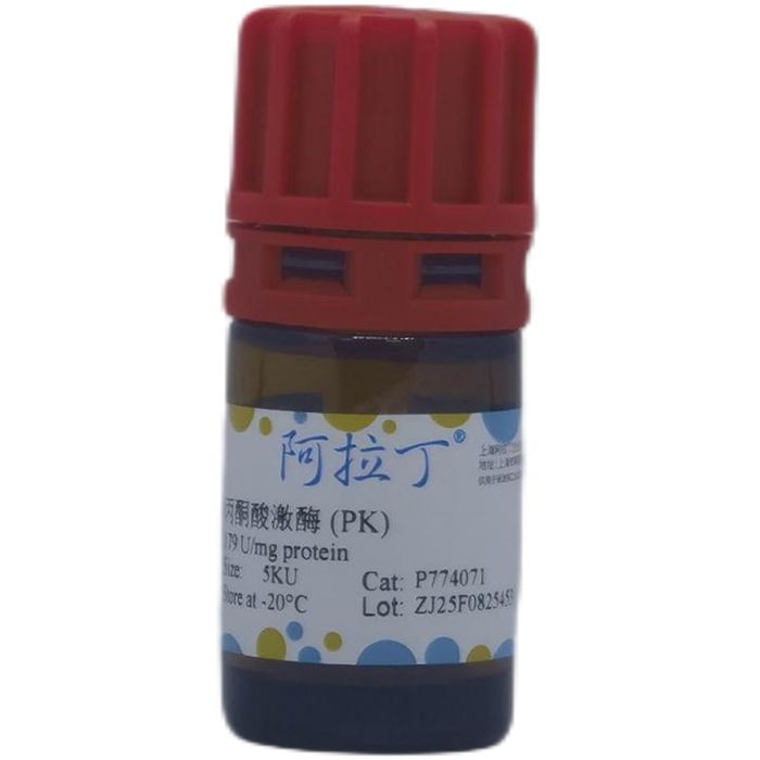 丙酮酸激酶 (PK)