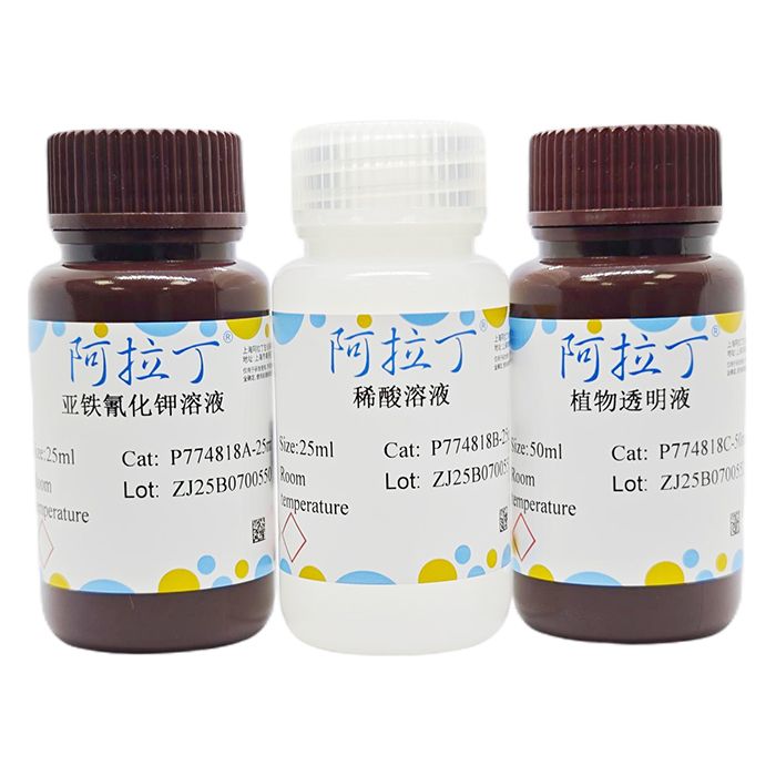 植物组织铁染色液