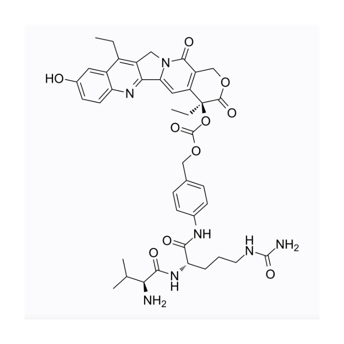 PH-HG-005-5