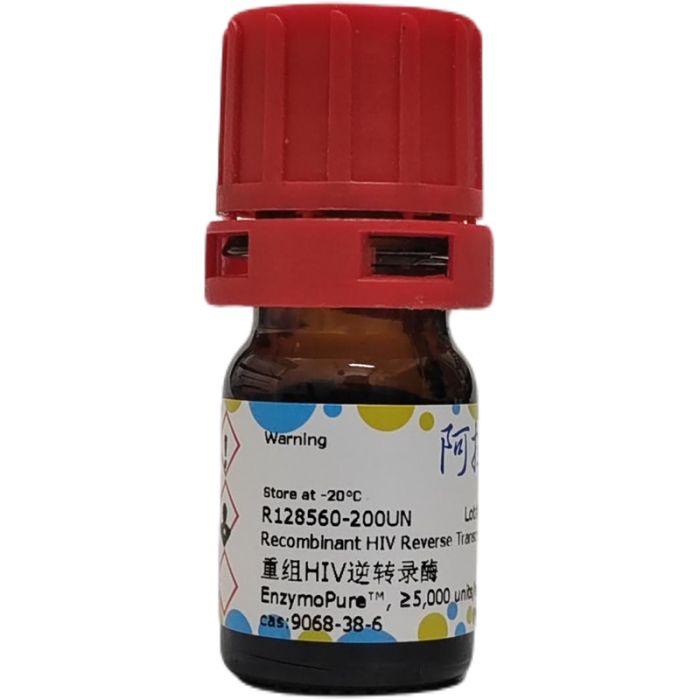 重组HIV逆转录酶