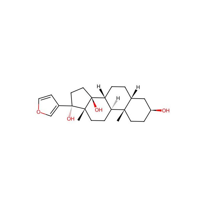 Rostafuroxin