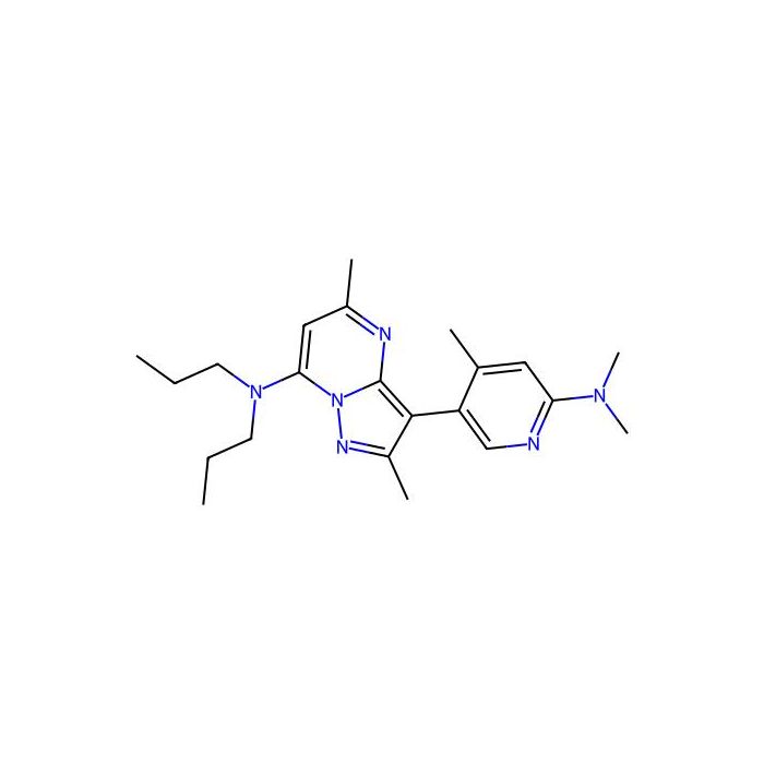 R121919