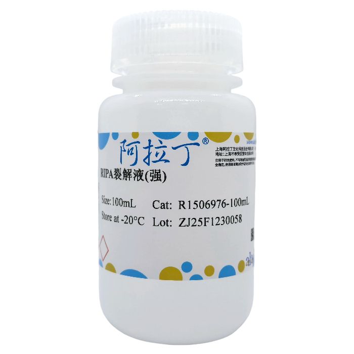RIPA裂解液(强)