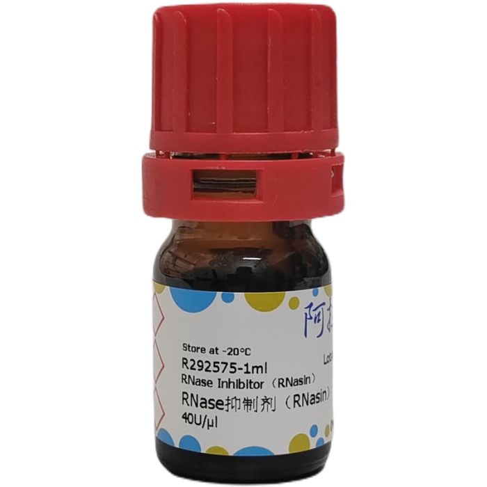 RNase抑制剂（RNasin）