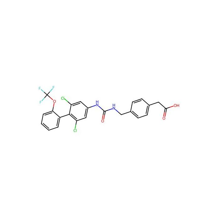 RORγt inverse agonist 13