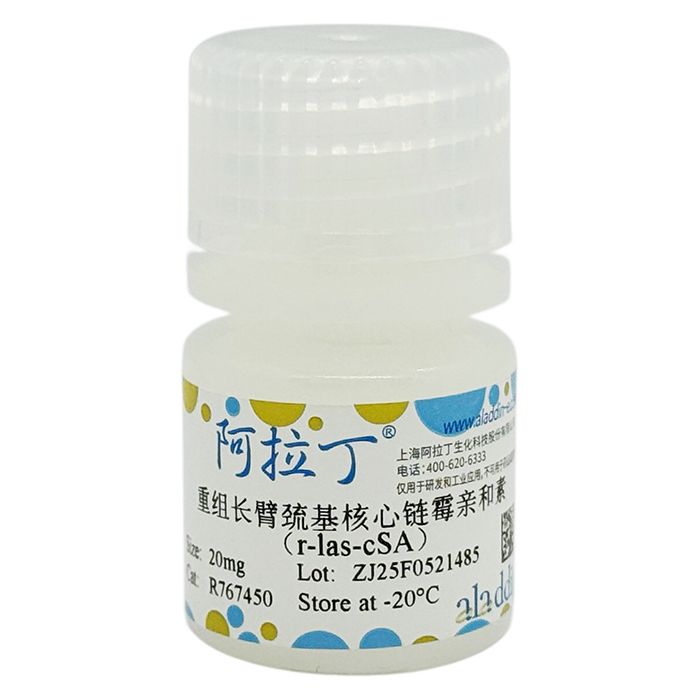 重组长臂巯基核心链霉亲和素（r-las-cSA）