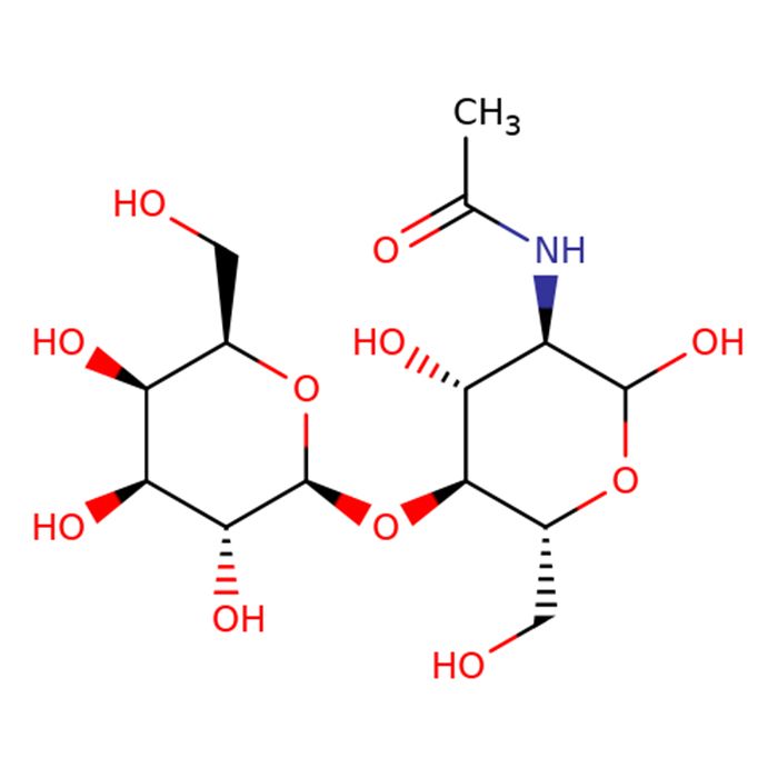 N-乙酰-D-乳糖胺