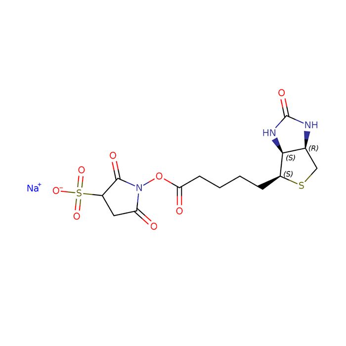 磺基-NHS-生物素