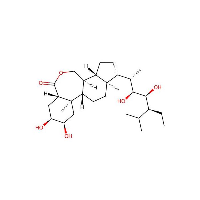 (22S,23S)-Homobrassinolide