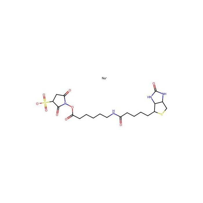 Sulfo-NHS-LC-Biotin sodium