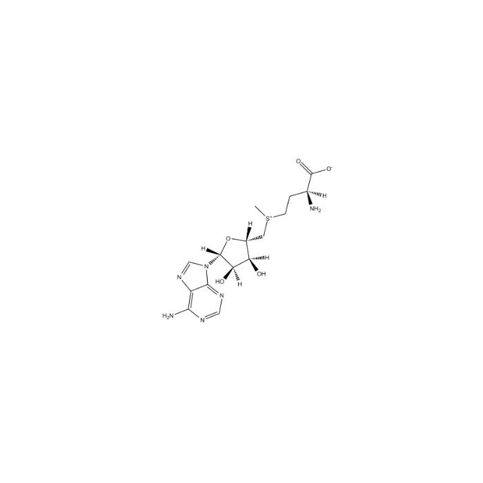 S-腺苷蛋氨酸（SAM）