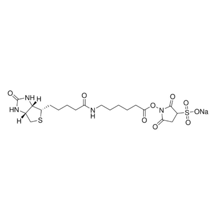 生物素化-EPSILON-氨基己酸-N-羟基磺基丁二酰亚胺活化酯