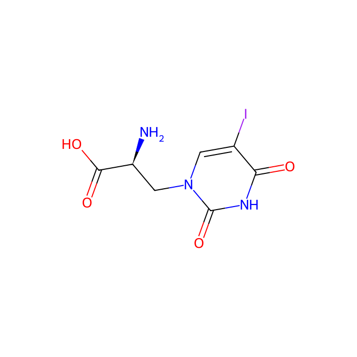 (S)-5-iodowillardiine, GluK1 的激动剂