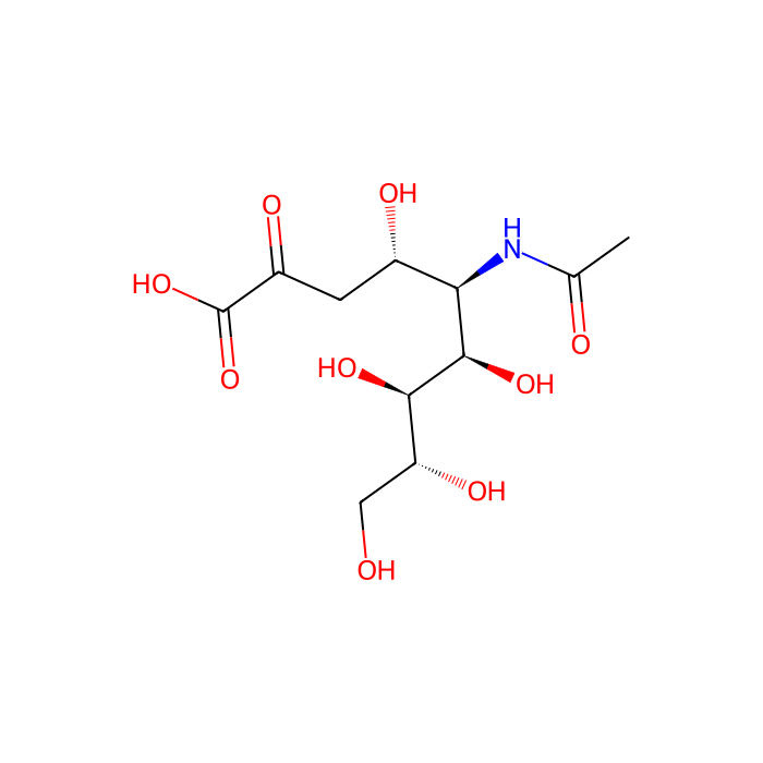 sialic acid