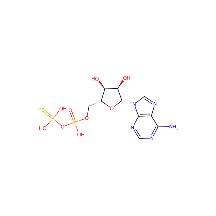 [³⁵S]ADPβS, P2Y 1 受体激动剂