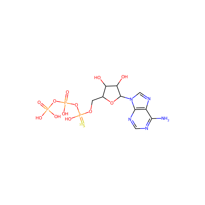 [³⁵S]ATPαS