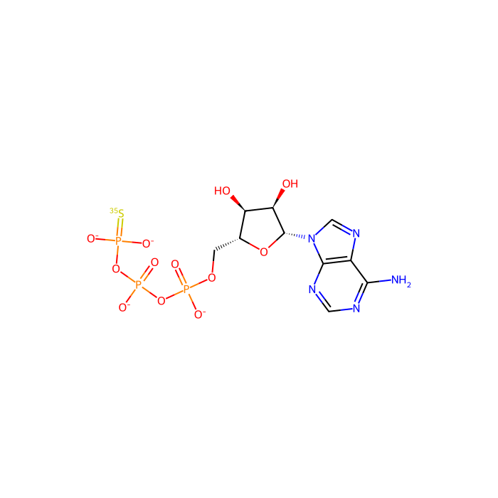 [³⁵S]ATPγS