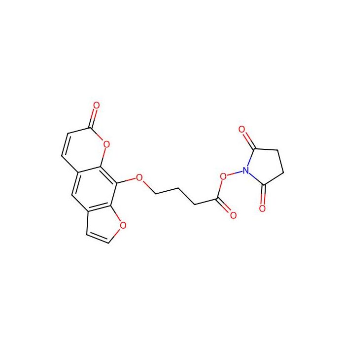 SPB