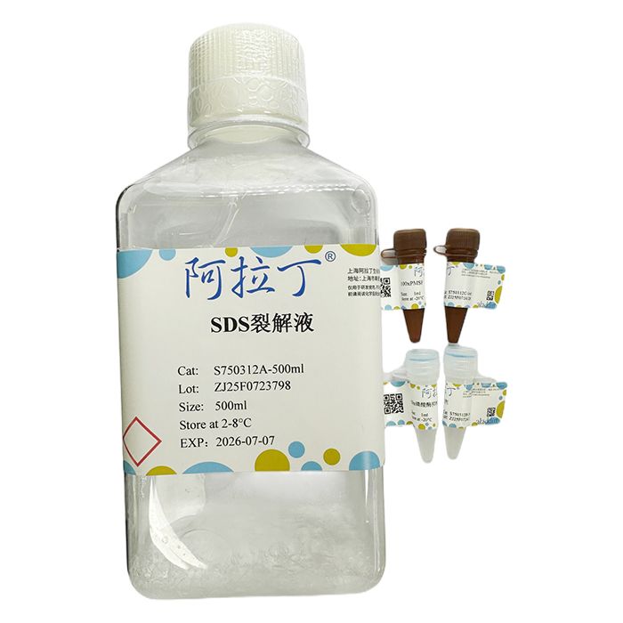 SDS裂解液（带有抑制剂）