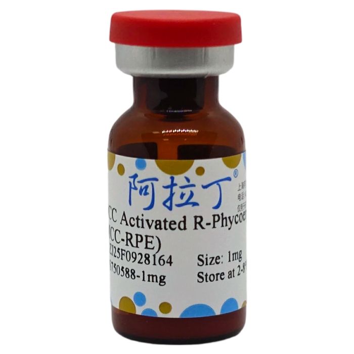 SMCC活化的R-藻红蛋白 (SMCC-RPE)