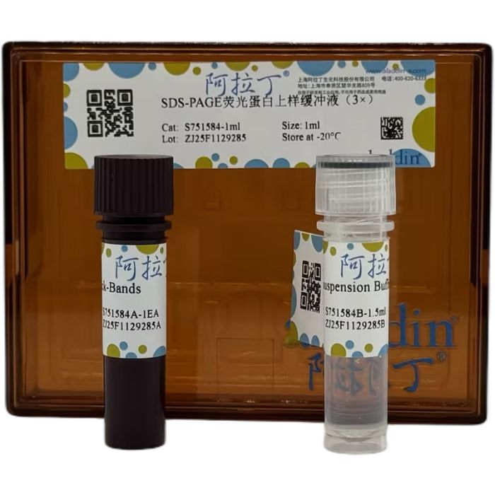 SDS-PAGE荧光蛋白上样缓冲液（3×）