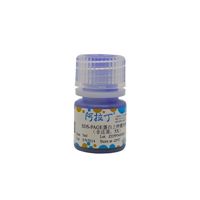 SDS-PAGE蛋白上样缓冲液 （非还原，5X）