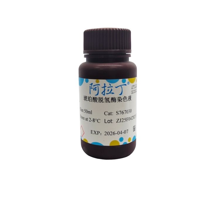 琥珀酸脱氢酶染色液